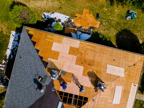 Best Local Roofing Companies  in Parkersburg, IA