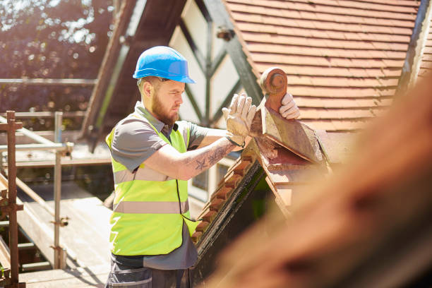 Best Roof Leak Repair  in Parkersburg, IA